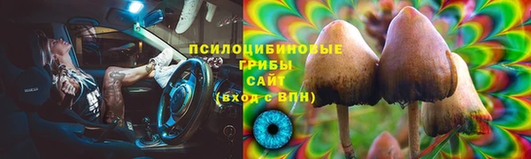 гидропоника Армянск
