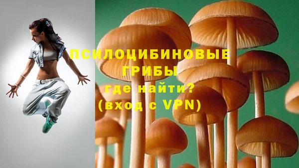 дмт Арсеньев